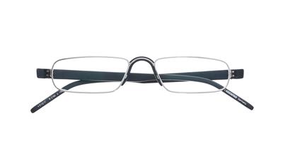 Rodenstock R2180<br/>silber/schwarz